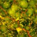 Study finds new stroke treatment with injectable biomaterial